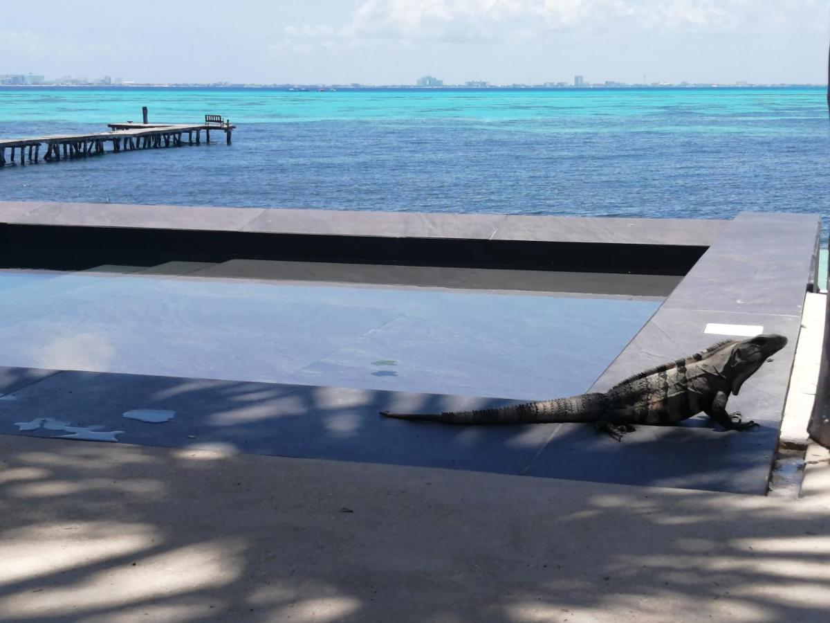 Maria'S Kan Kin Isla Mujeres Kültér fotó